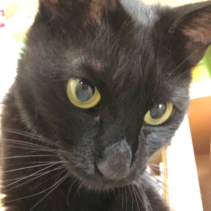 Bb799614 bce9 40b5 938b 8bb382e4598b 1528500323566