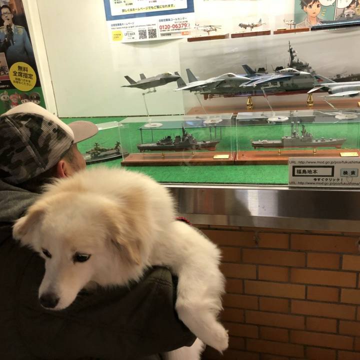 Bb79be28 b5da 4d9c 8155 ab01b8e6fcd7 1518675498797