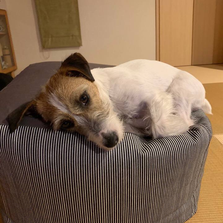 Bb7a1a55 cffb 45e6 89b6 74c3eeac7eb1 1587655349318