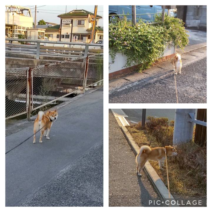 Bb7a70d2 9b15 4b1e 91e2 0547315f11aa 1727738502558