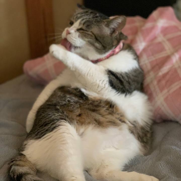 Bb7a7e0f 04a9 4bbb 8acf ffbcd47725fa 1713661350397