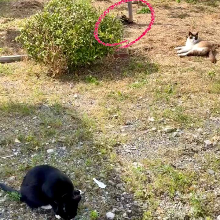 Bb7a9856 2eab 41e6 88ce dc6b1f278149 1745049495519