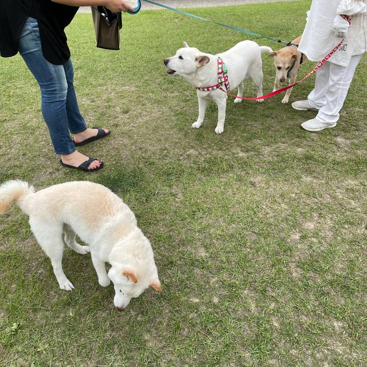 Bb7ad632 1b8b 45ce bc18 72aafa583b8b 1652008517460