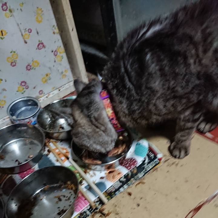 Bb7af8a9 c3ec 4595 b9dc 9b789bdc7e4c 1592940380515