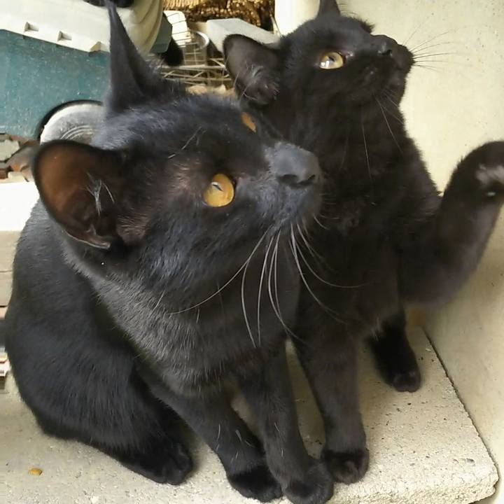 Bb7bb80e 8b98 4638 8d26 e3096c4ca872 1543379257637