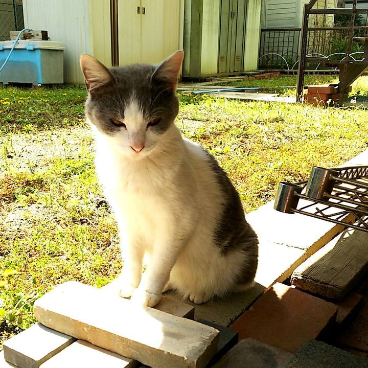 Bb7bd7cf 5bc0 4be6 a4cb 7b3769b881b3 1524028025582