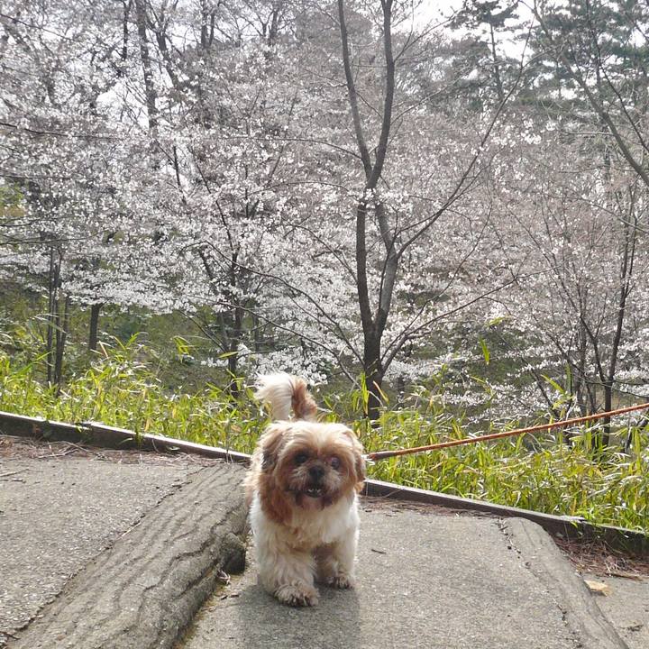 Bb7bde8e 7b7e 4687 aff6 1825310e5662 1553677215769