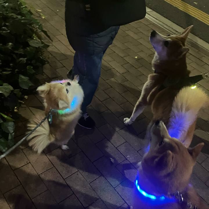 Bb7c0871 71b4 4b1a af8a 0ab16fbbc51d 1765369696852