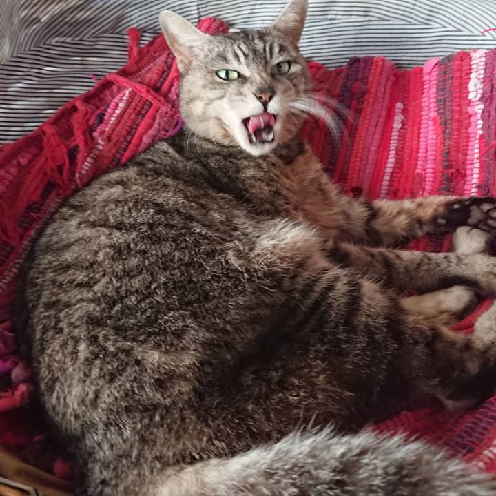 Bb7c50d7 3e68 430f b994 9e30a6bf3f2b 1558838979010