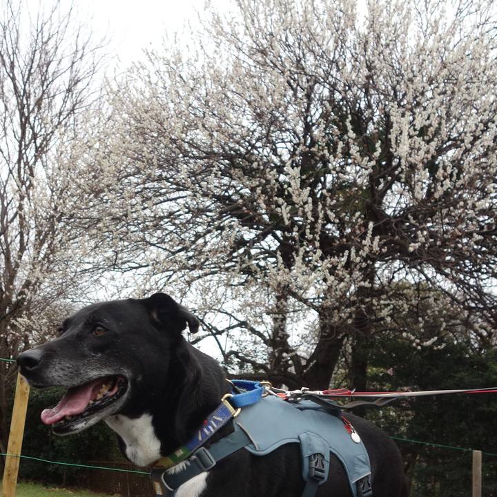 Bb7c68aa c4b3 4580 992d e706dc4a7004 1708393402386