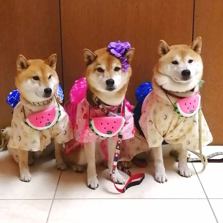 Bb7c75b2 b94d 4aff bb1a 2fafabc120df 1688742368941