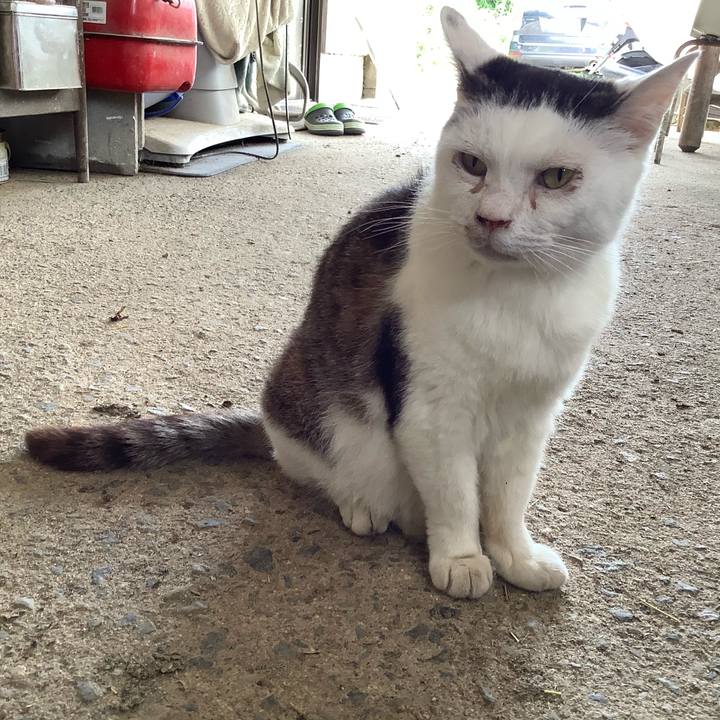 Bb7c87b7 2a70 4cb5 ab36 9404bca84b64 1593157347467