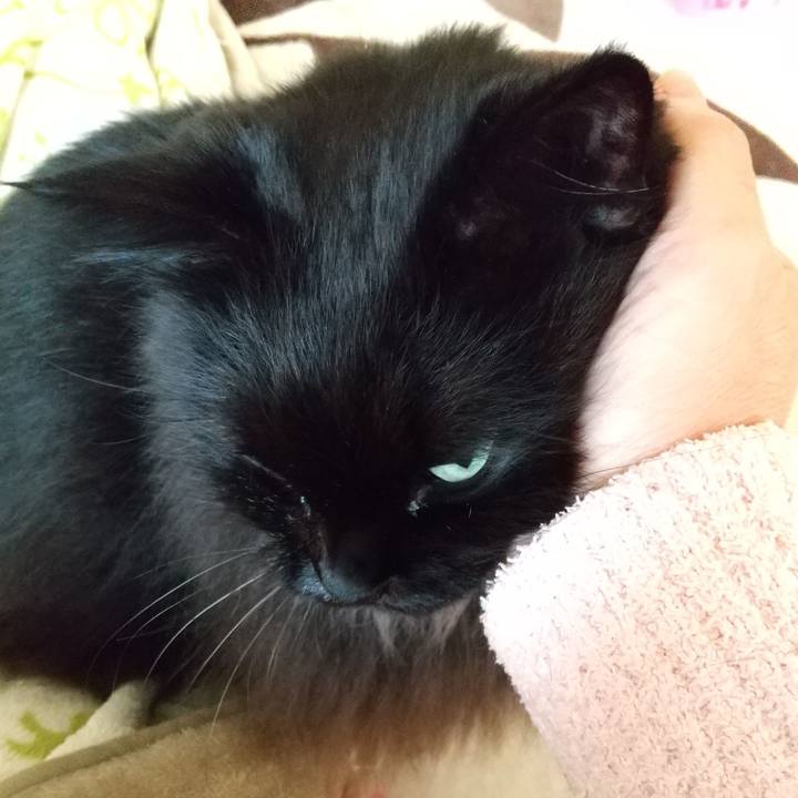 Bb7c8e25 3042 4e97 b58c 042f8f428d99 1604617936682