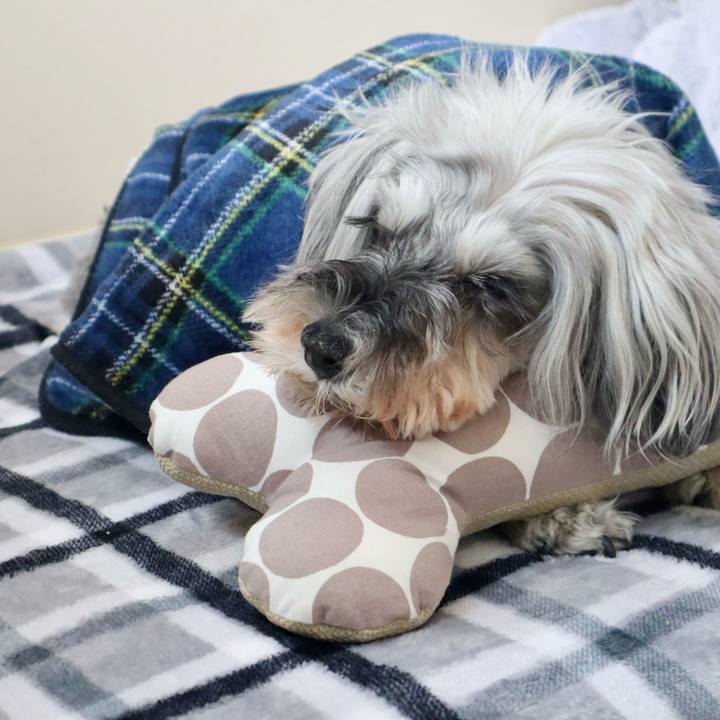 Bb7cb233 ab49 4f58 a149 773e431972fe 1761700724758