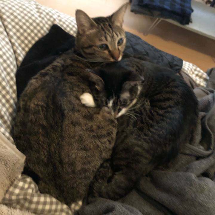 Bb7cb5f4 d3a6 4d78 88fe 40fbaa462561 1547714797205