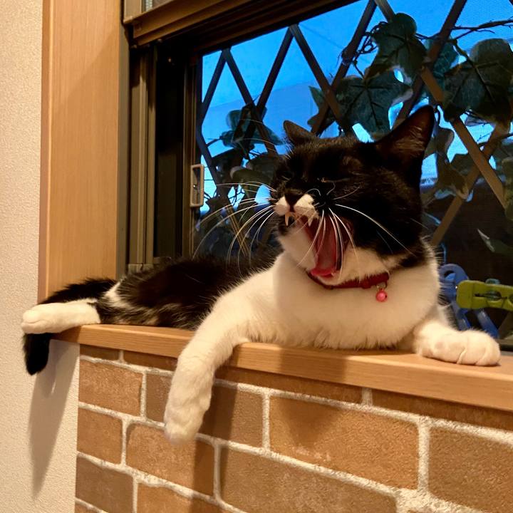 Bb7d354e a060 4d78 aac4 65f98ce4aa09 1598269701164