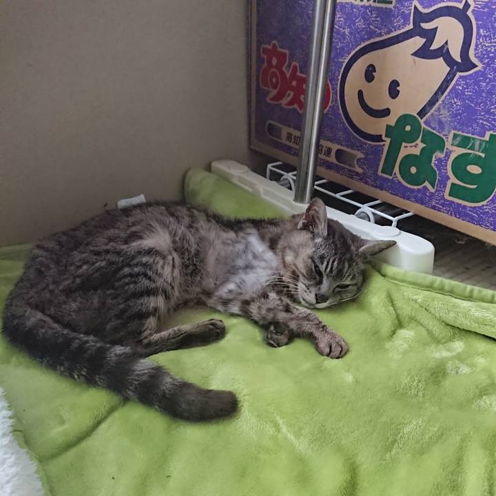 Bb7d41dc 7158 4d85 85c8 a3a5c8ccba4d 1596960203495