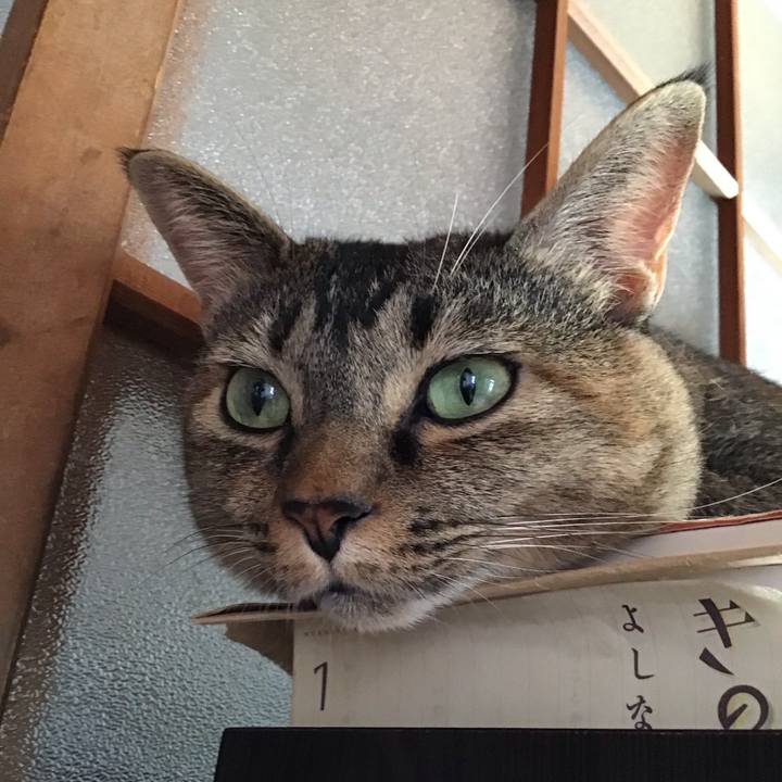 Bb7d71c6 9b02 4966 ba16 617abe606c23 1630468072102