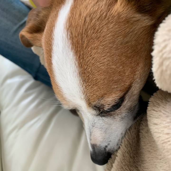 Bb7d7646 fc28 437e 8b85 e2d4c958cb3f 1647577189000