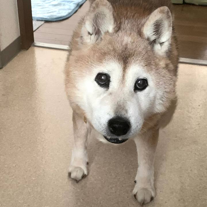 Bb7d7b9e 7882 4b4f 86bc 94a0b80f4fe2 1674378084693