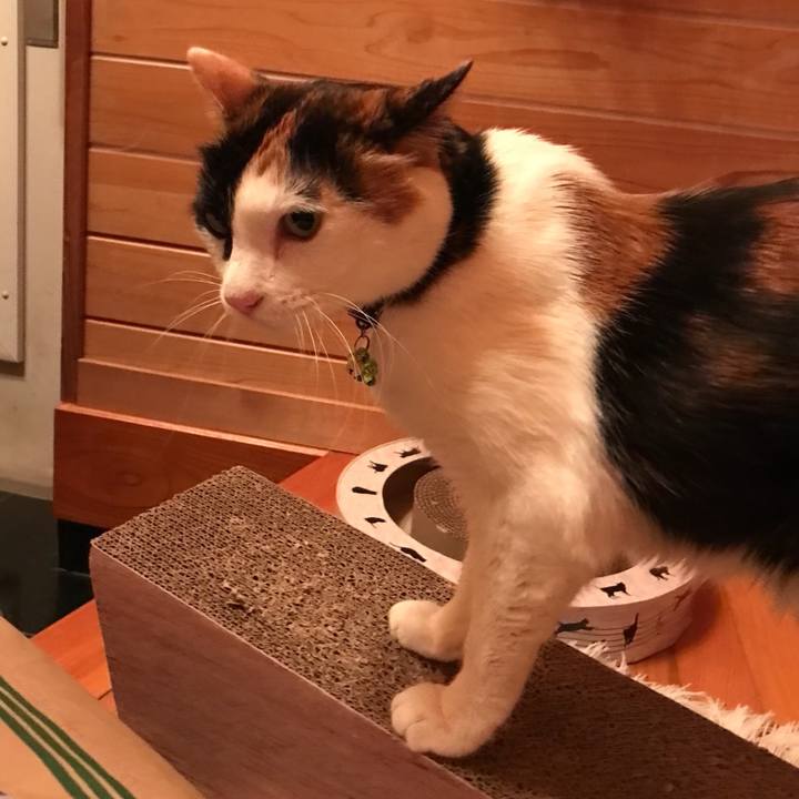 Bb7dc2fe ec16 46b2 80b9 cd64a4e624cb 1522588230138