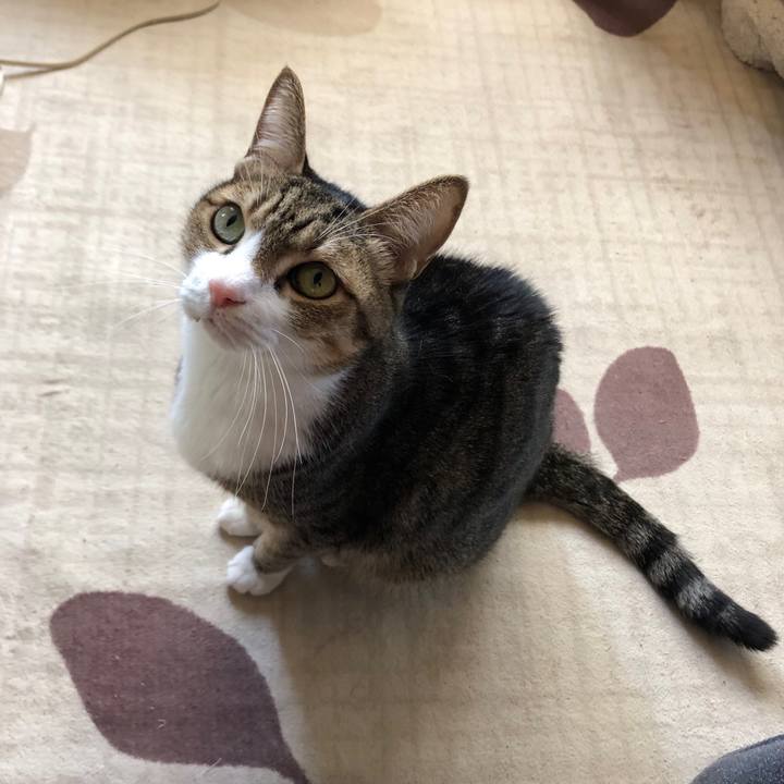 Bb7dc352 a3ea 48df a254 577a491a580c 1671944228591