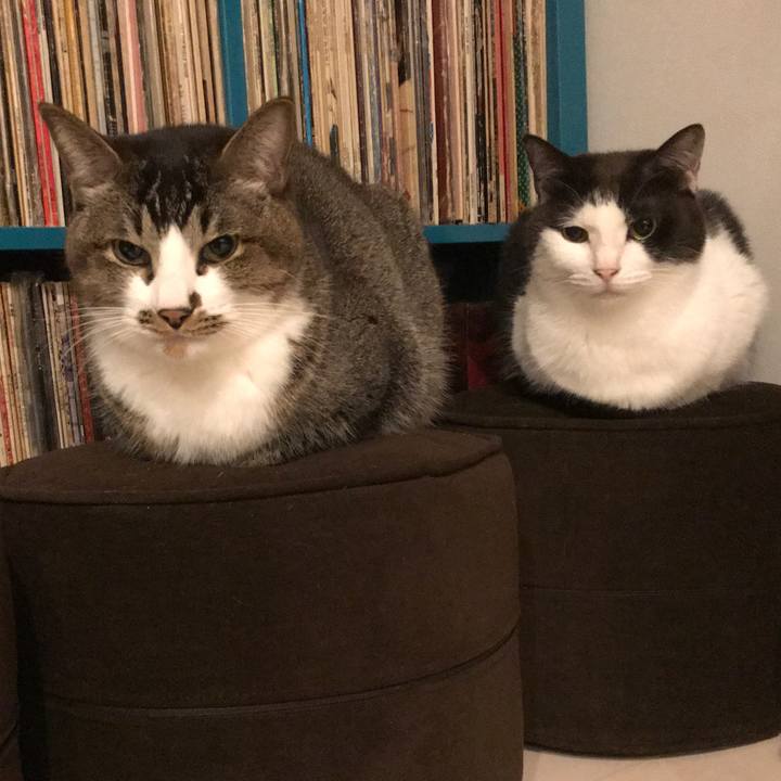 Bb7dcd98 a34c 4933 b6ca 8e4082d4a2a2 1618402374104