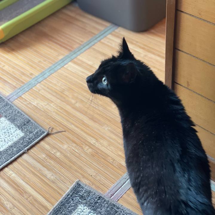 Bb7dd6c6 caa1 4576 9a5c 4a96aa2cb463 1651887550412