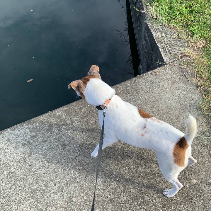 Bb7dfadc b062 4a7c b6e6 7d0f262b30aa 1597013939876