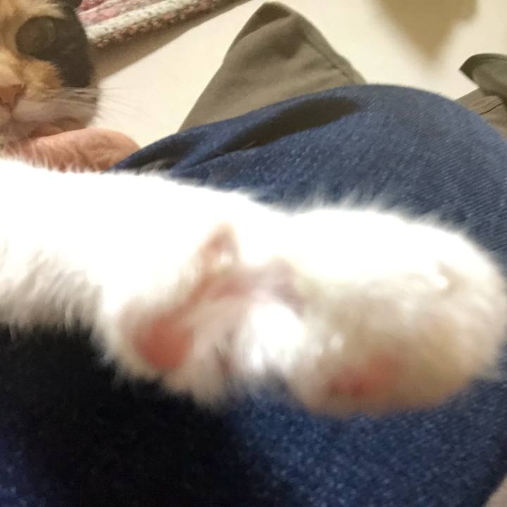 Bb7e0645 b63b 4e63 98d2 2e0d39b16ac2 1576743650301