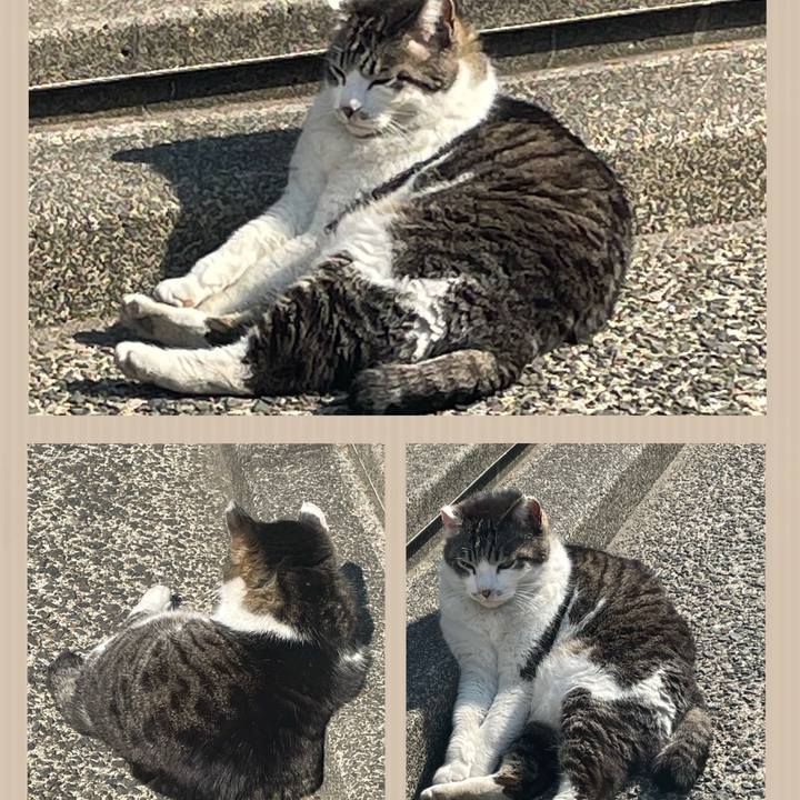 Bb7e1000 dad9 4edd 9ff6 1cfc35a78c0f 1651725049407