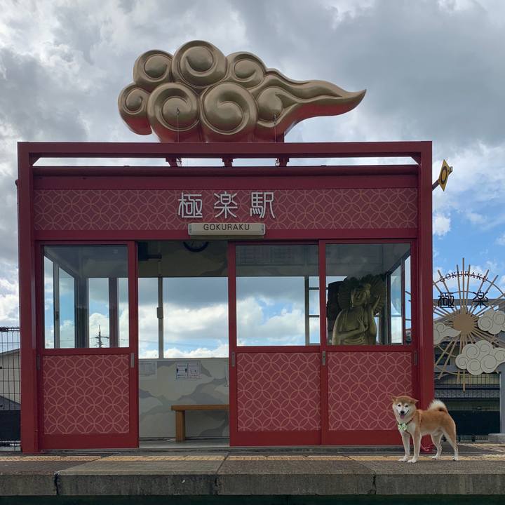 Bb7e4cb8 b4d6 4e65 8f41 eb947f42e351 1600256936681