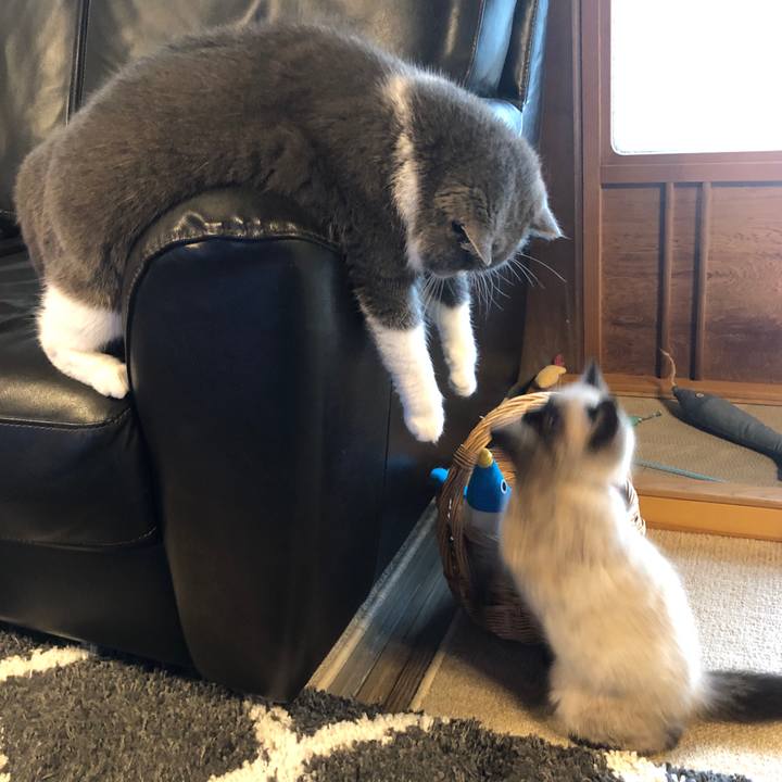 Bb7ea4cd 8122 40c8 9689 3a17f172fae1 1589592223188