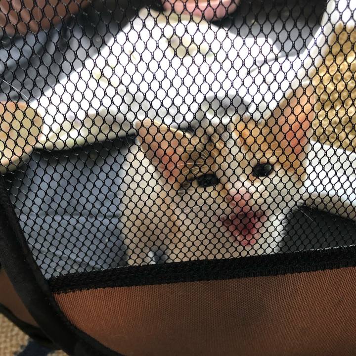 Bb7ec7f2 038f 4969 8a49 b60a83e174ff 1560654808080