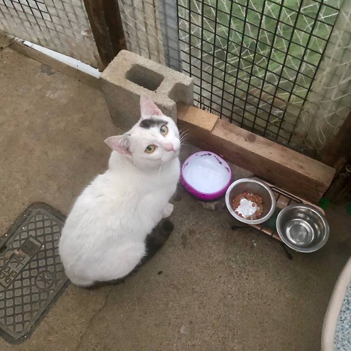 Bb7edc95 25c4 4bf9 80eb c3f169299b8f 1556921687440