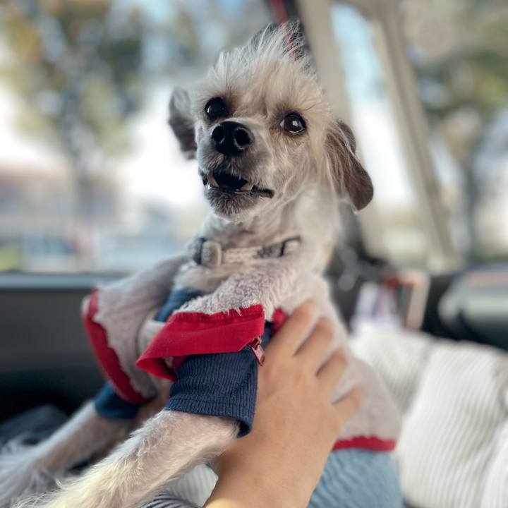 Bb7ef032 f0db 4007 b2c7 a3efa8624ebd 1762758044864