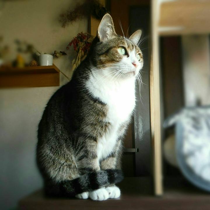 Bb7ef0a2 2dc8 4378 b8e2 65e92149f58a 1547088502981