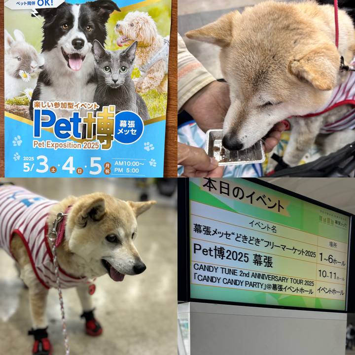 Bb7f1a3e 5fdc 4a68 834c ffcc15facee5 1746335037115