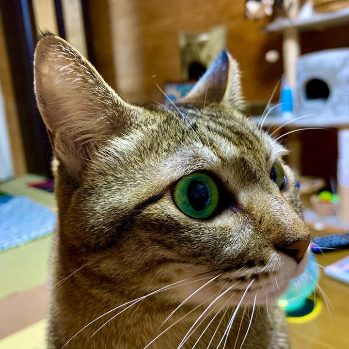 Bb7f28c6 4f2f 465f ad5c 873121cec1b0 1607170997073