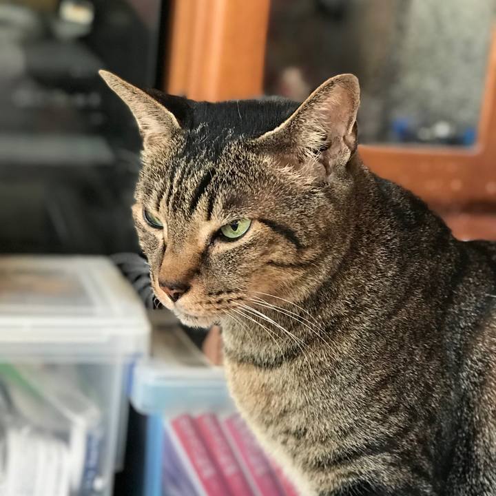 Bb7f3cd0 0f5c 4ca4 9fbb 715984c49596 1514769200170