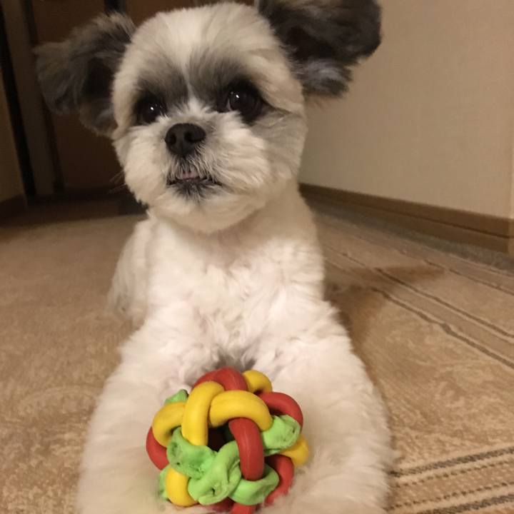 Bb7f6a93 e368 467d acdb 7204106d9028 1534586042749