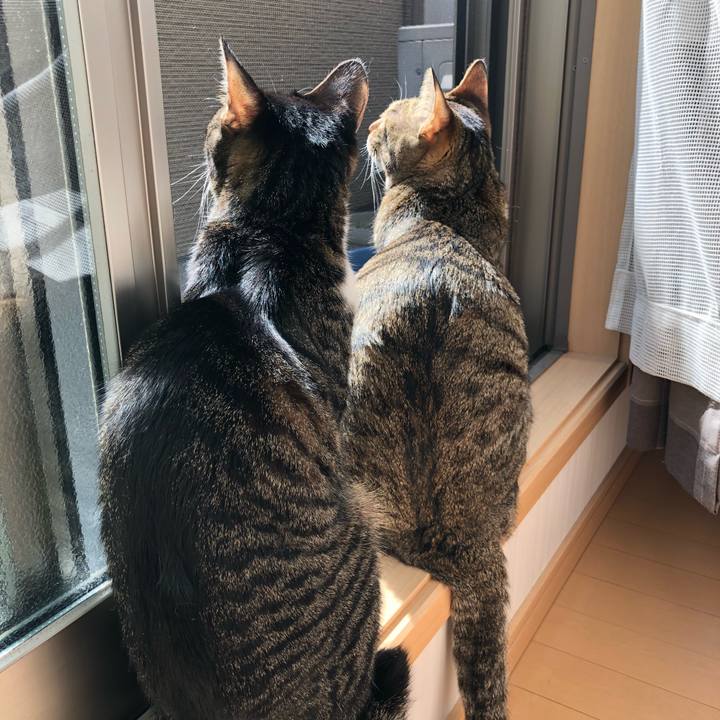 Bb7f6c85 a5bb 48e0 9ddf 93987c56d5fa 1521285483223