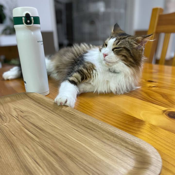 Bb7f72df 9393 4156 8ec7 77f344544a3b 1641546542623