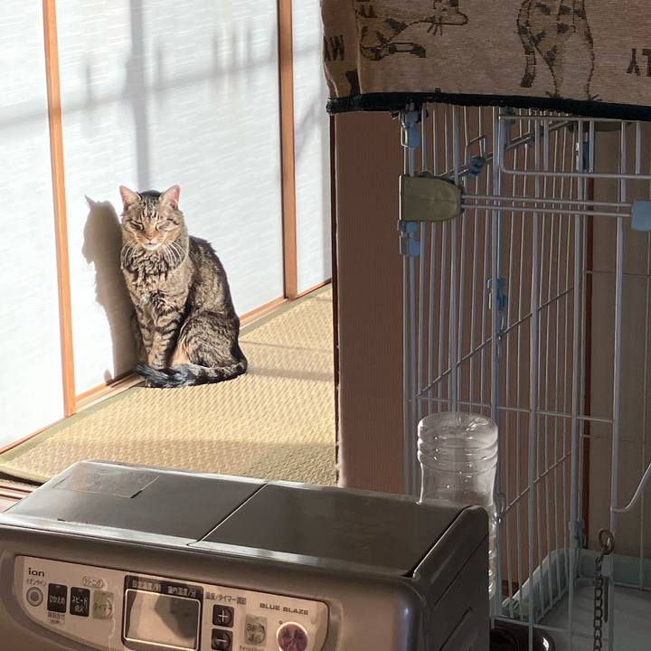 Bb7f73a5 5cda 4532 9d3b a81fc75b811d 1765581449445