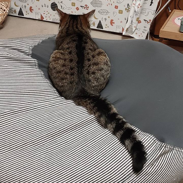 Bb7f8e29 6461 419d 8b7e 881792c3da54 1661823807970