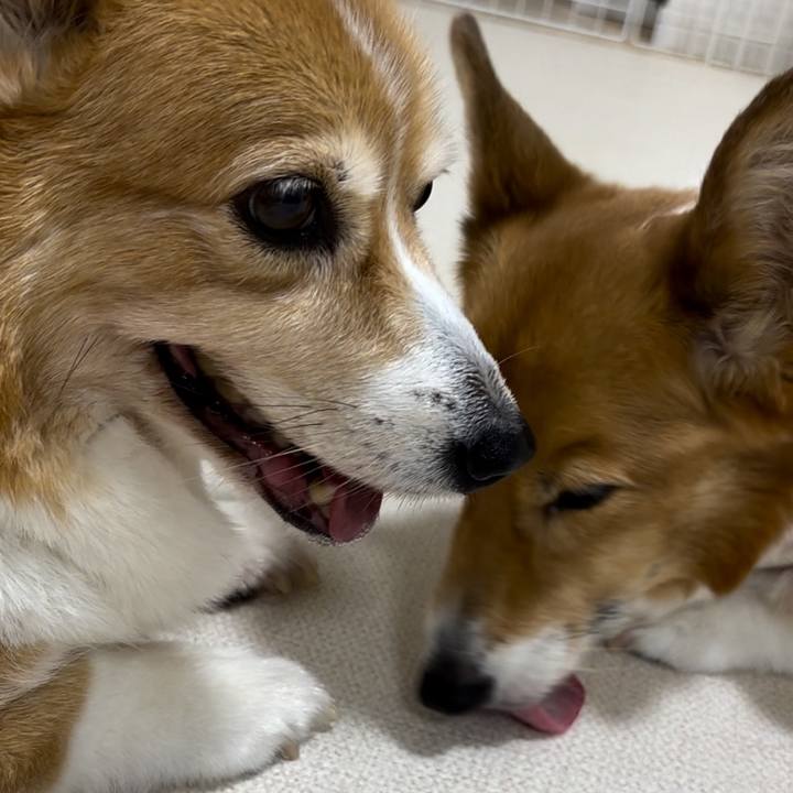 Bb7fc4af dfbf 45d9 9315 6cb699fe1f06 1757760297543