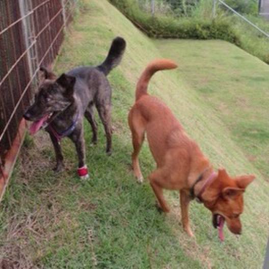 Bb7fd87d 7427 45b7 b8b0 68ea9dc7208c 1596722146248