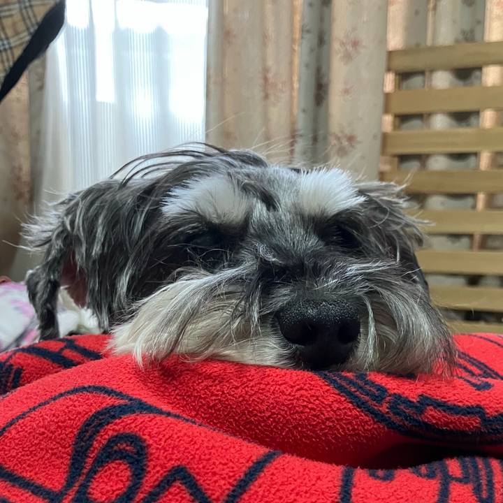 Bb7ff30a 6d41 46b4 91d7 4e65bb6b193a 1768212065752