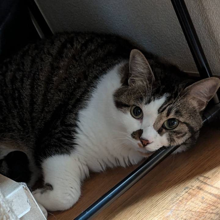 Bb8087a7 f46f 4c71 8cfc f33c1f3abe66 1720149868387