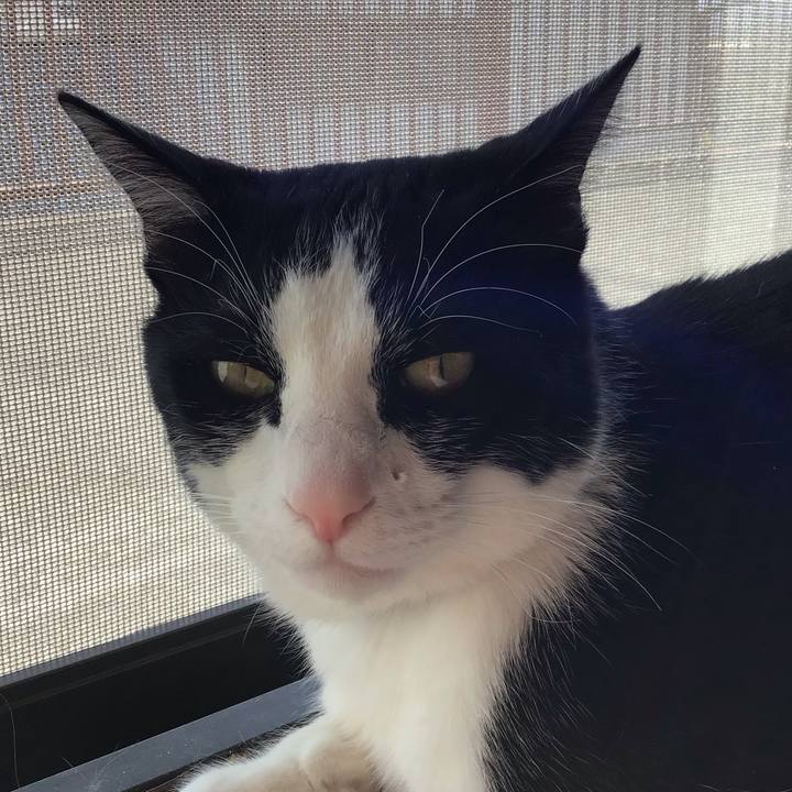 Bb80b6d1 e242 4df3 aebd 431604f091c0 1711786855285